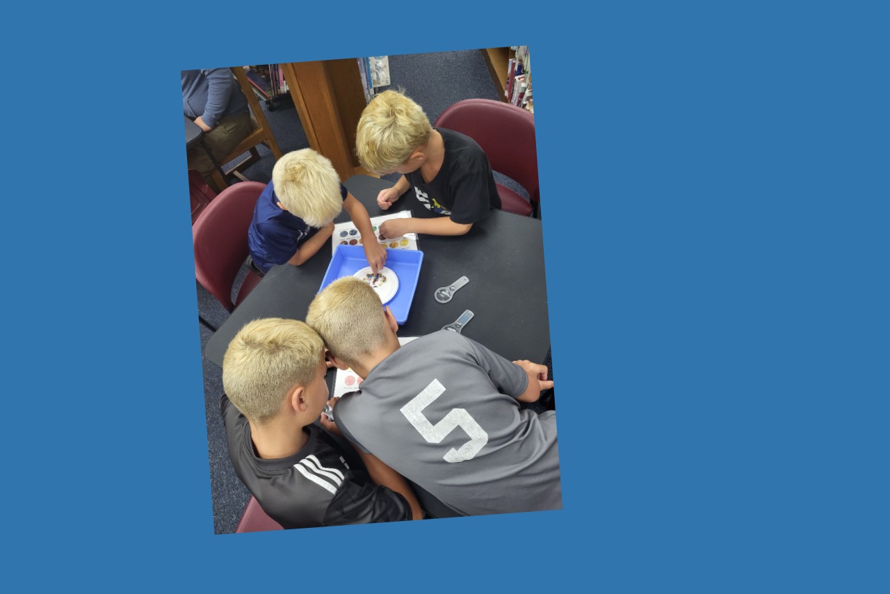 Four boys engaged in a rock-based library activity.