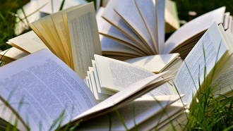 Picture of open books on grass